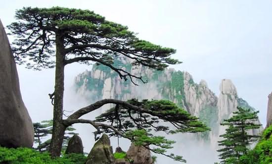 河南旅游攻略：濮阳10个值得一去的旅游景点，你知道几个