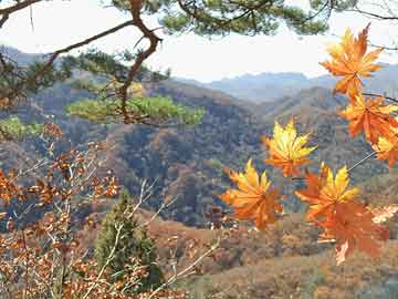 北京景山公园：7月14日起启动暑期文化季，入园门票调价